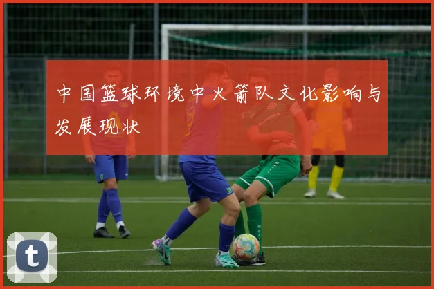 中国篮球环境中火箭队文化影响与发展现状